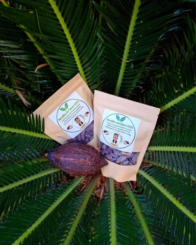 Semillas de Cacao 100%